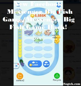 Big Fish Game