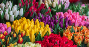 online flower delivery